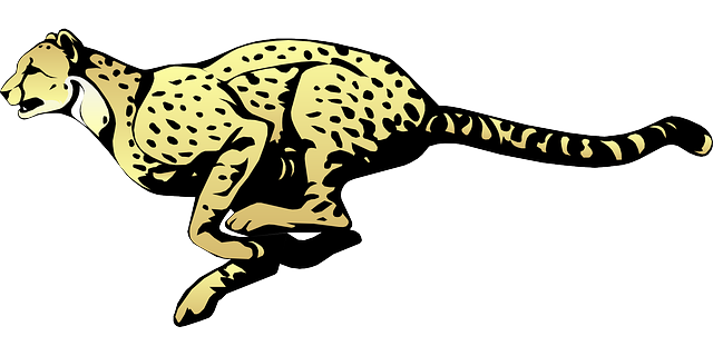 Running Cheetah PNG-Afbeelding