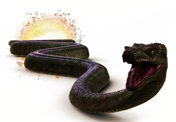 Titanoboa Snake PNG Прозрачное изображение