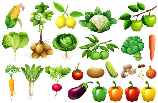 Image de fond PNG de légumes