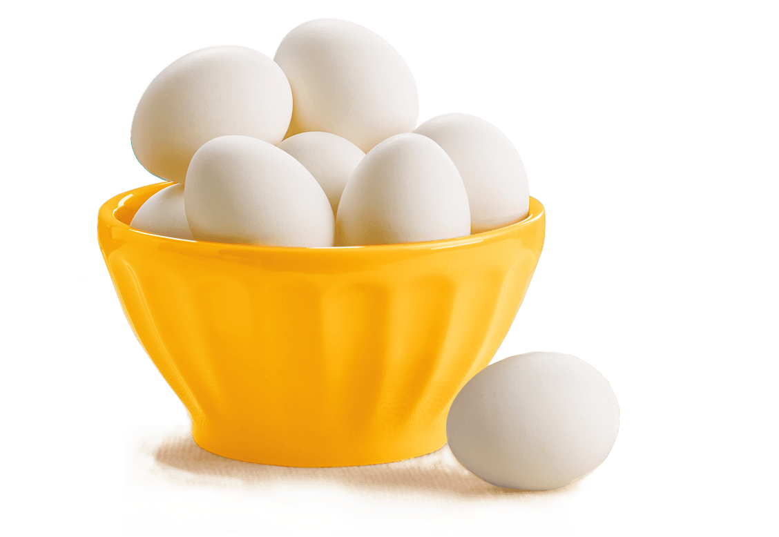 รูปไข่สีขาว PNG ภาพคุณภาพสูง