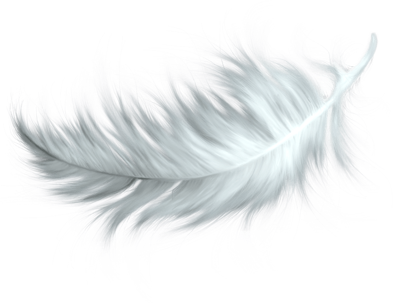 ภาพถ่าย PNG ขนนกสีขาว | PNG Arts