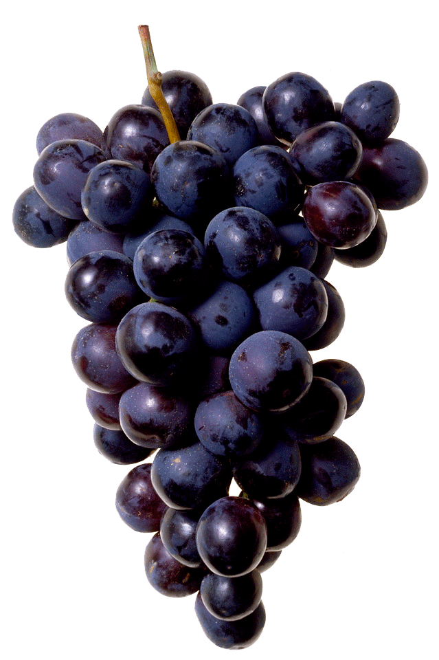 Zwarte druiven PNG-Afbeelding