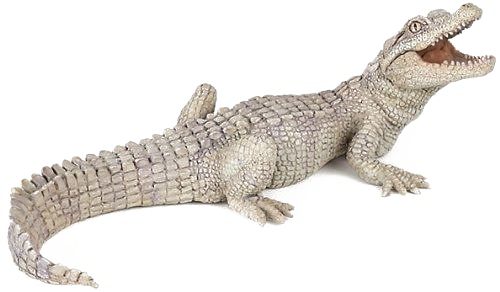 Crocodile fond Transparent PNG