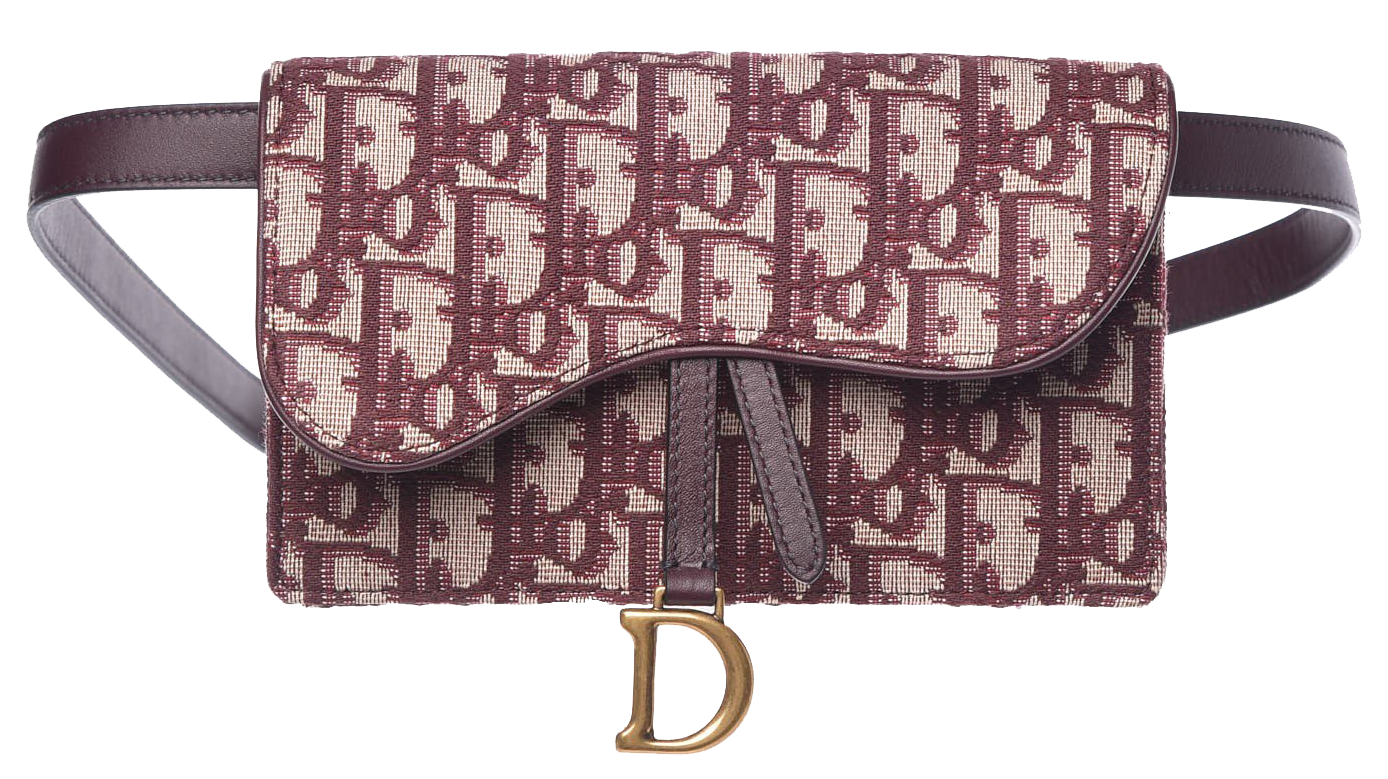 Dior Bag PNG скачать бесплатно