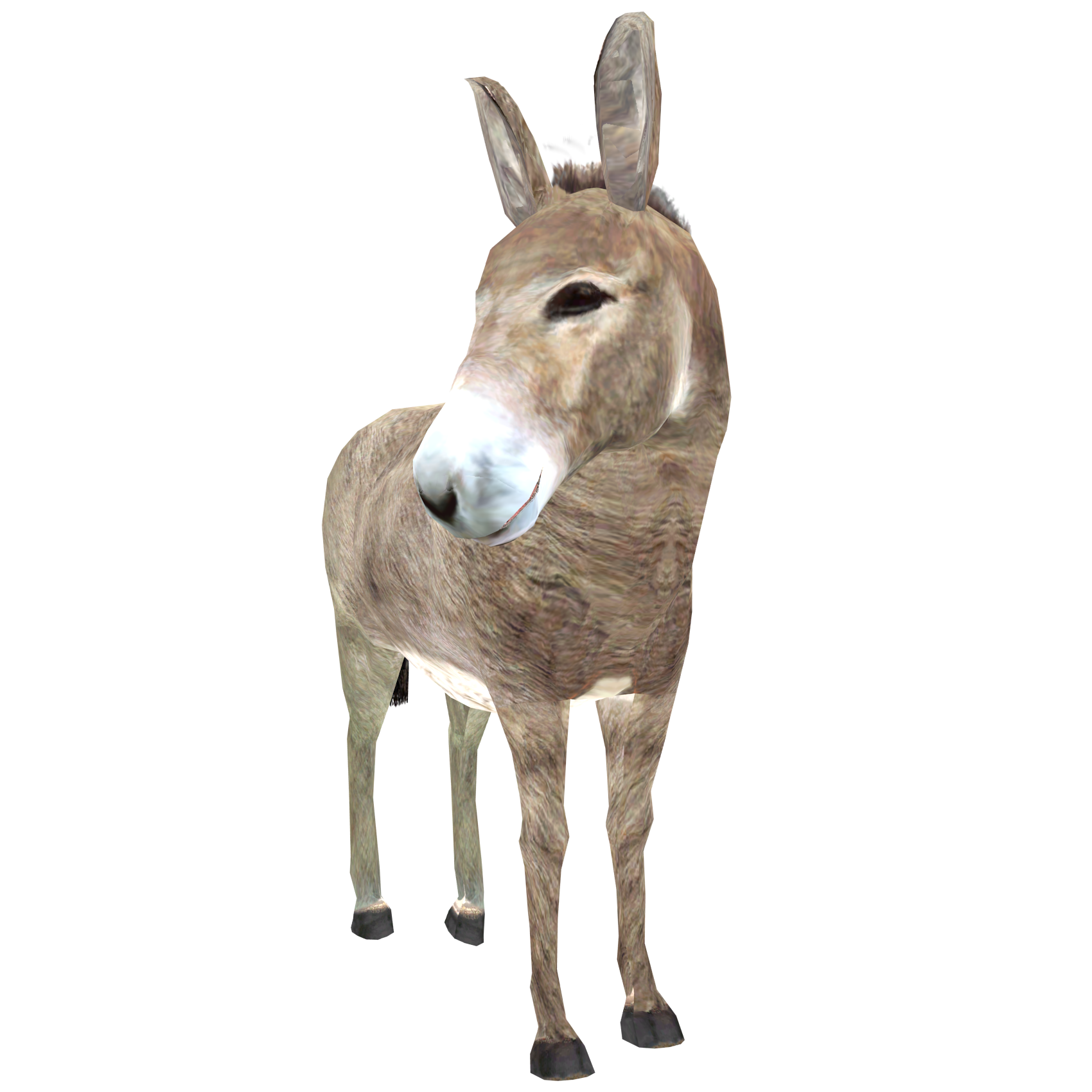Donkey PNG High-Quality Image