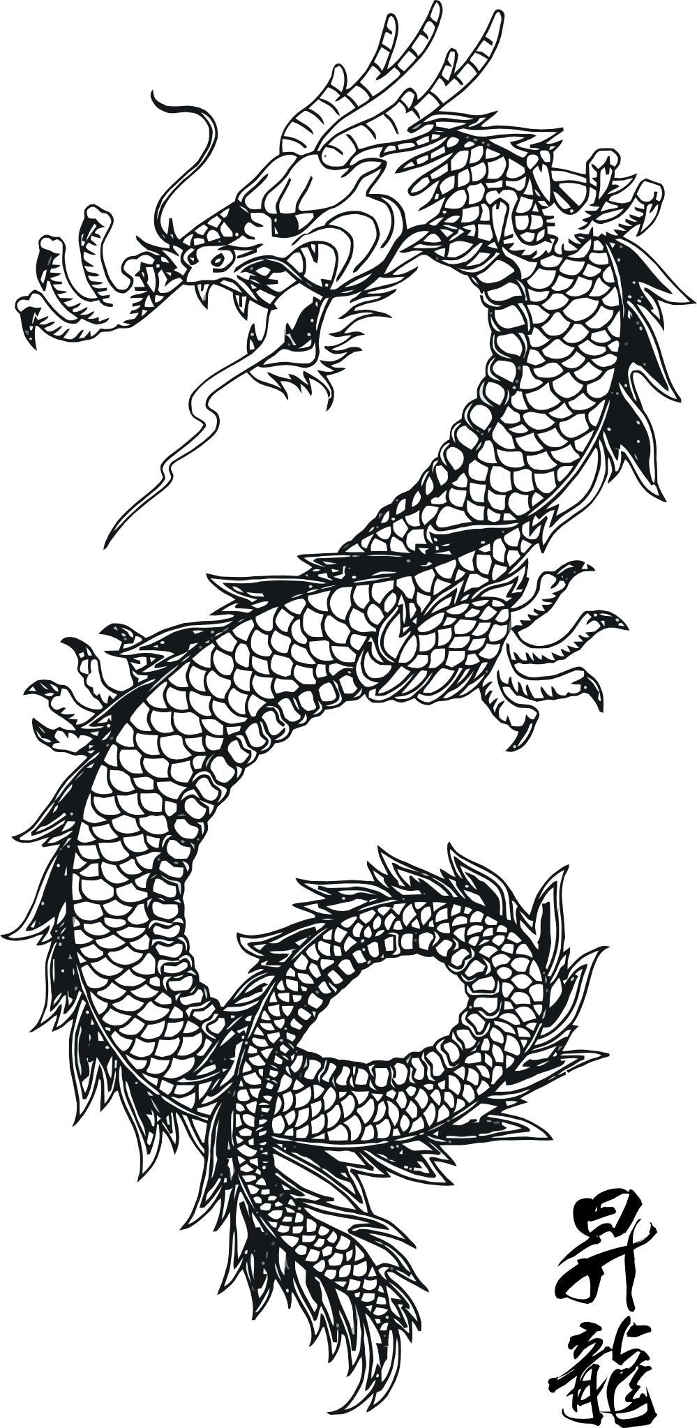 พื้นหลังภาพ Dragon Tattoo PNG