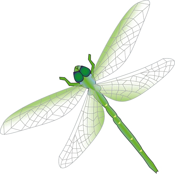 Dragonfly Png Free Download Free Png Pack Download