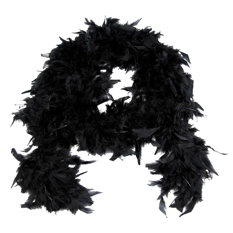 Feather Boa PNG Image Background | PNG Arts