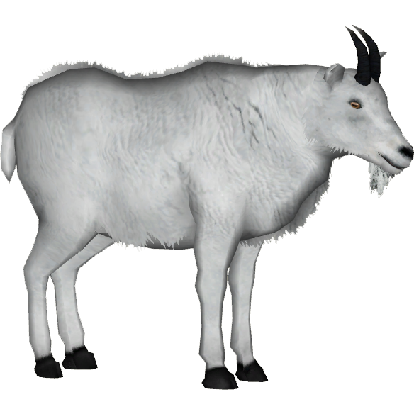 Goat herunterladen PNG-Bild