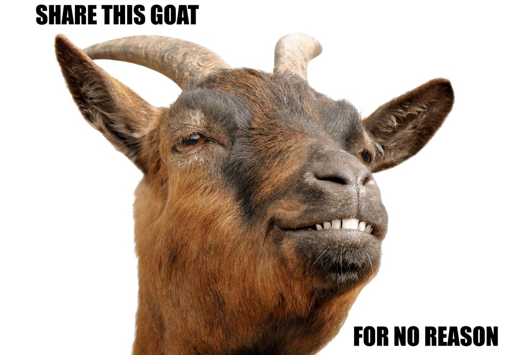 Goat PNG herunterladen Bild herunterladen