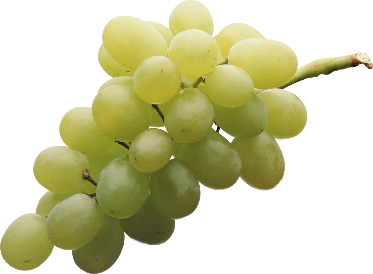 Druiven Transparant Beeld