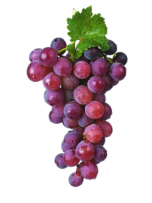 Grapes Png Image Purepng Free Transparent Cc0 Png Image Library ...