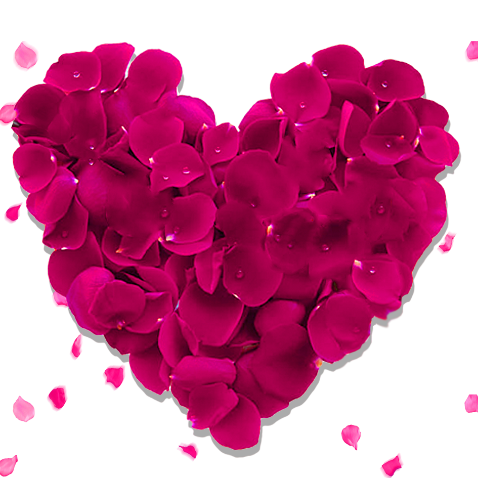 Цветы сердечки. Цветочное сердечко. Сердце из лепестков. Сердечки цветочки. Сердечки красные розовые