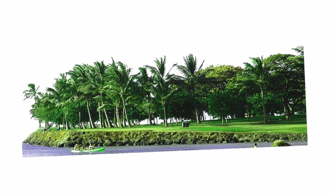 جزيرة PNG صورة شفافة