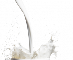 Milk PNG Transparent Image