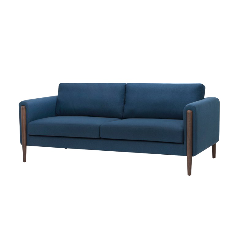 Sofa modern PNG Gambar Transparan