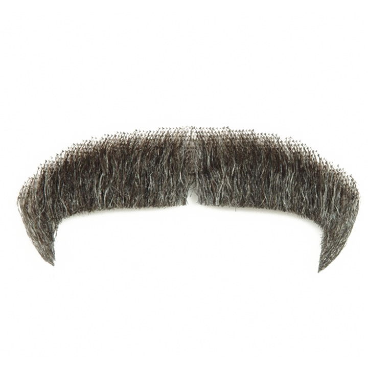 Moustache PNG Image Transparent