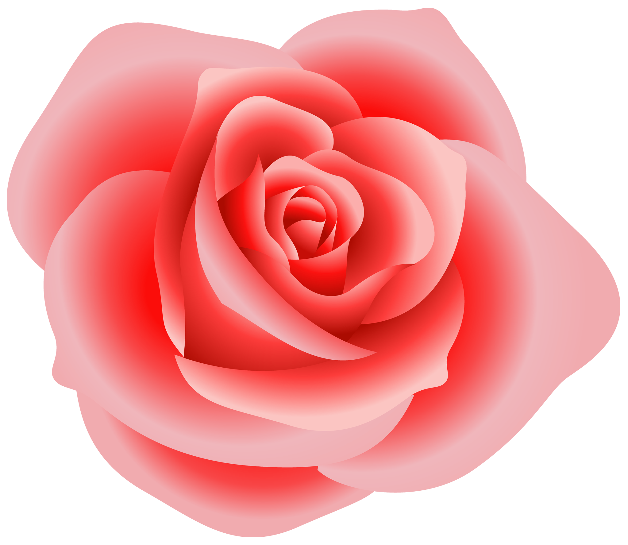 Roze roos PNG hoogwaardige Afbeelding