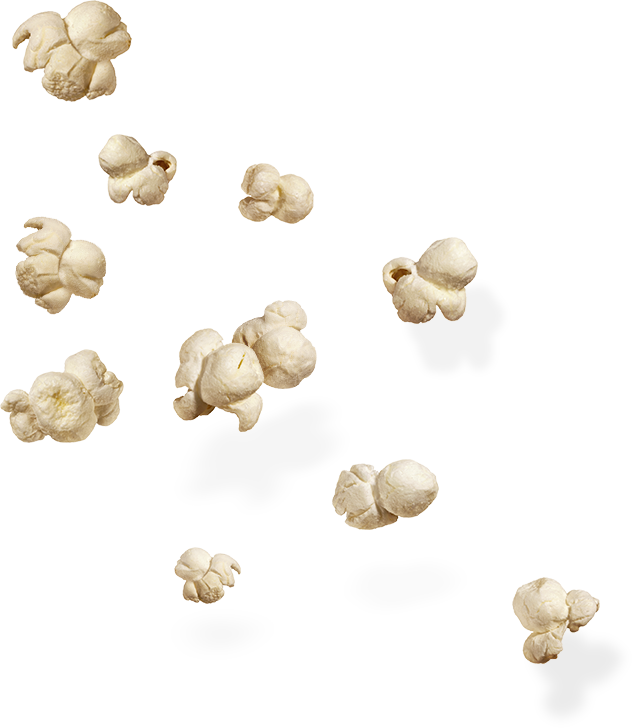 Popcorn Transparent Background PNG