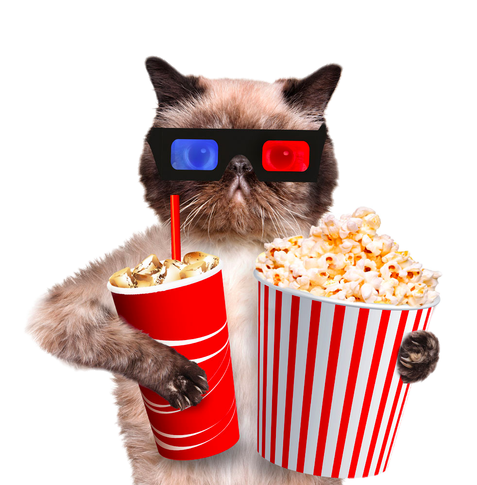 Popcorn Transparent Image