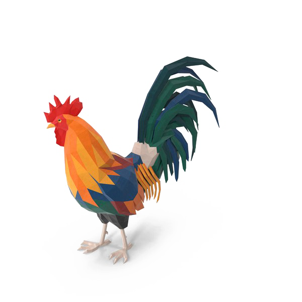 Galo PNG Picture