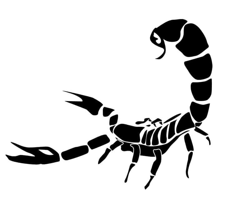 Photo de PNG de tatouage de scorpion