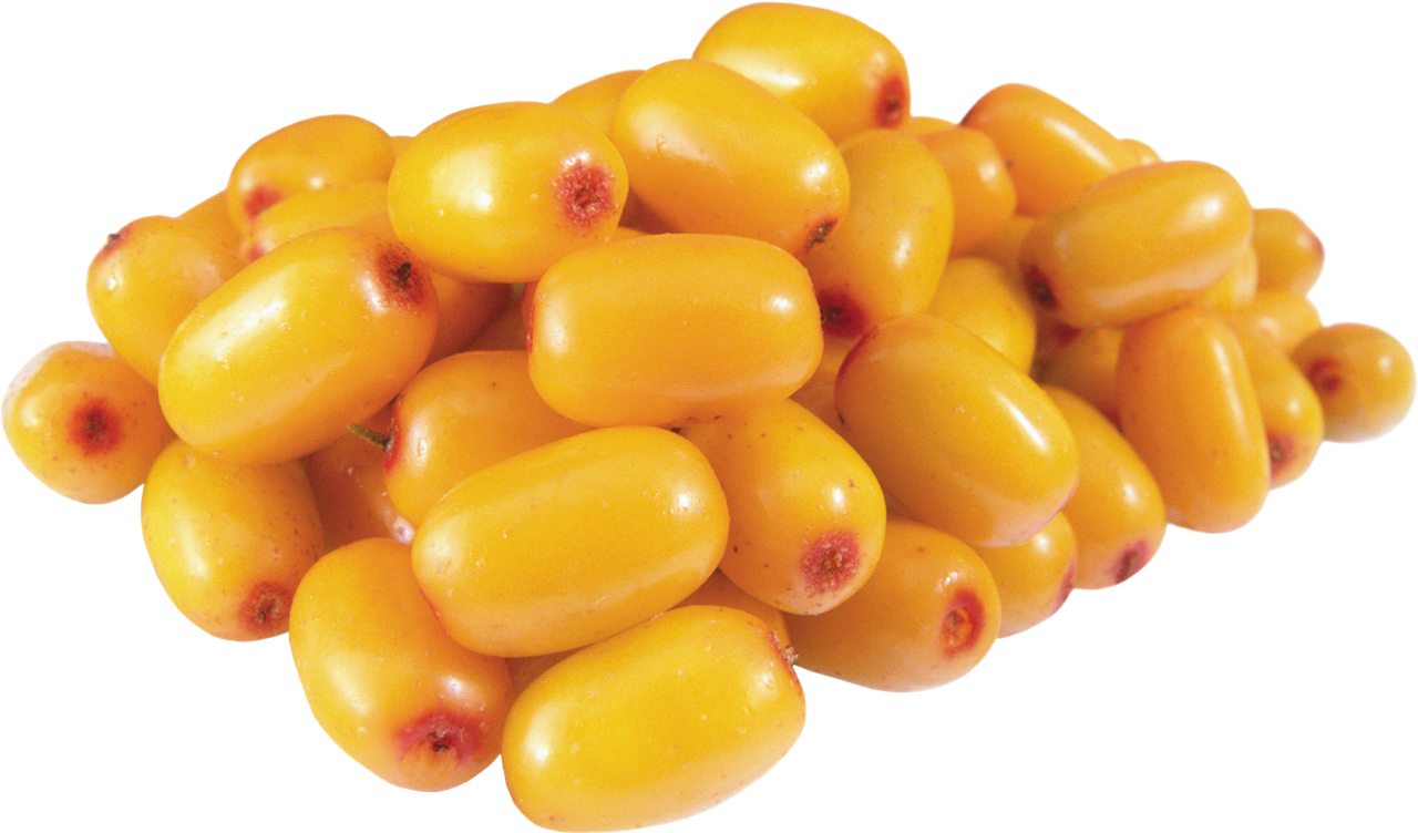 Sea Buckthorn รูปภาพ PNG ฟรี