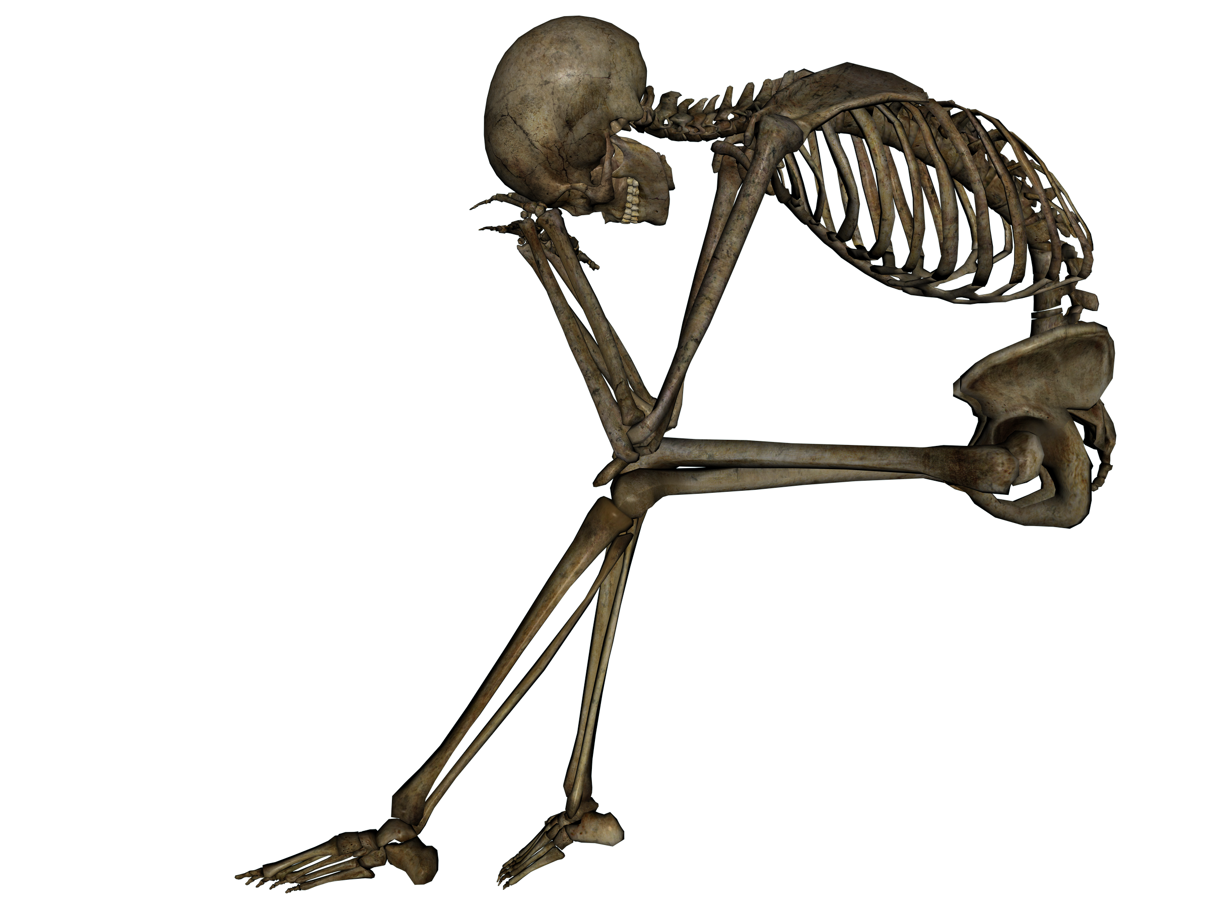 Skeleton PNG Pic