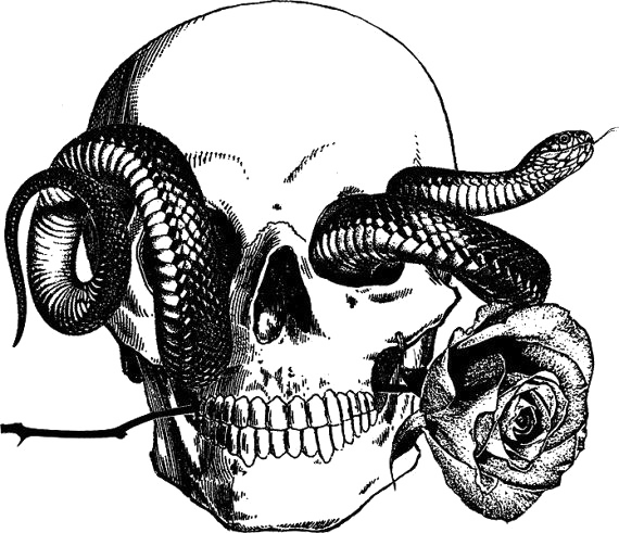 Tatuagem de cobra imagem livre PNG