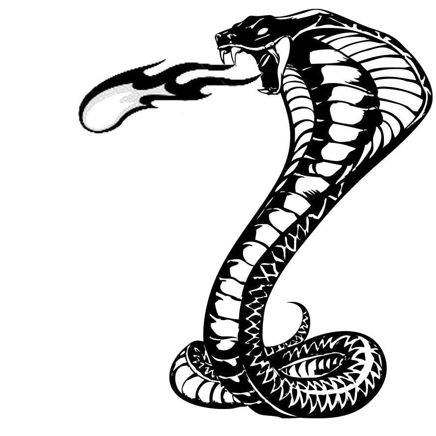 Imagem de fundo de PNG de tatuagem de cobra