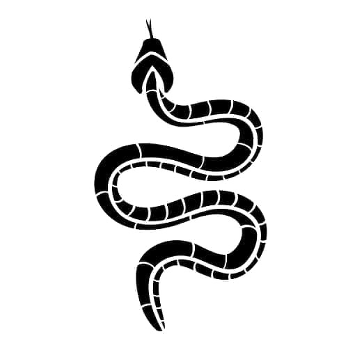 Snake Tattoo PNG Free Download