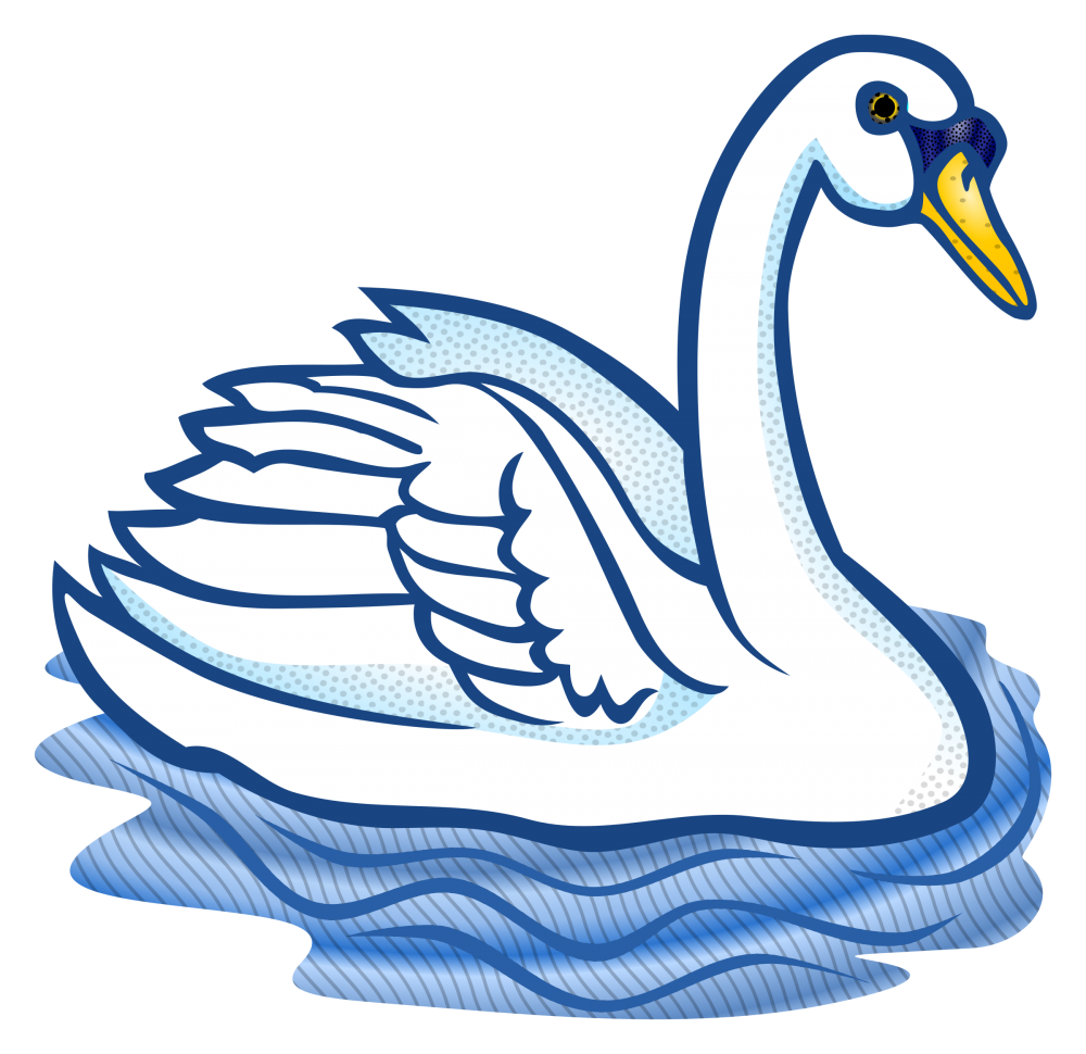 Swan PNG Foto
