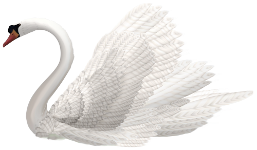 Swan PNG-transparentes Bild