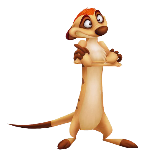 Timon Transparent Image