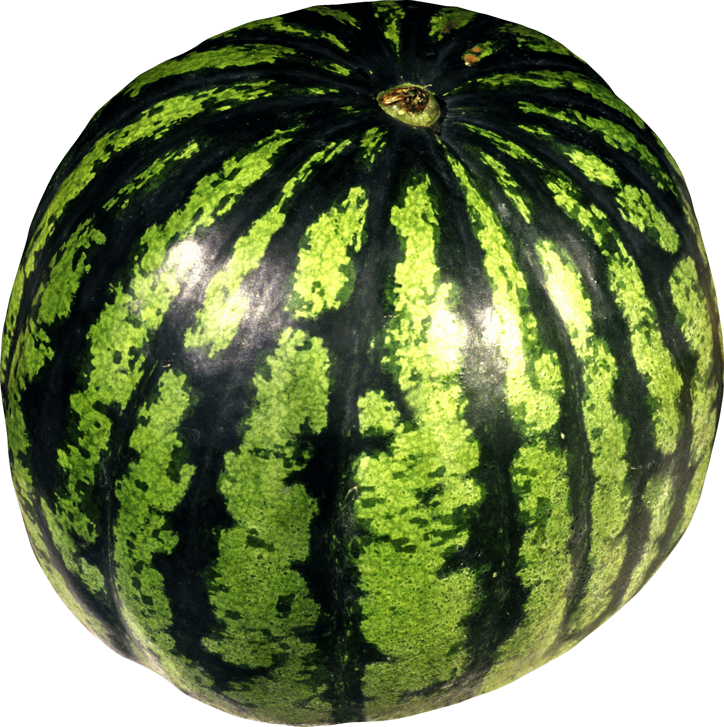 Watermelon PNG Unduh Gratis