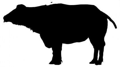 Bison Silhouette Download PNG Image | PNG Arts