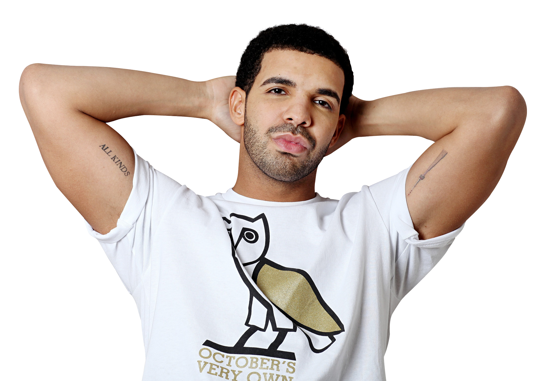 Drake PNG Hintergrund Bild