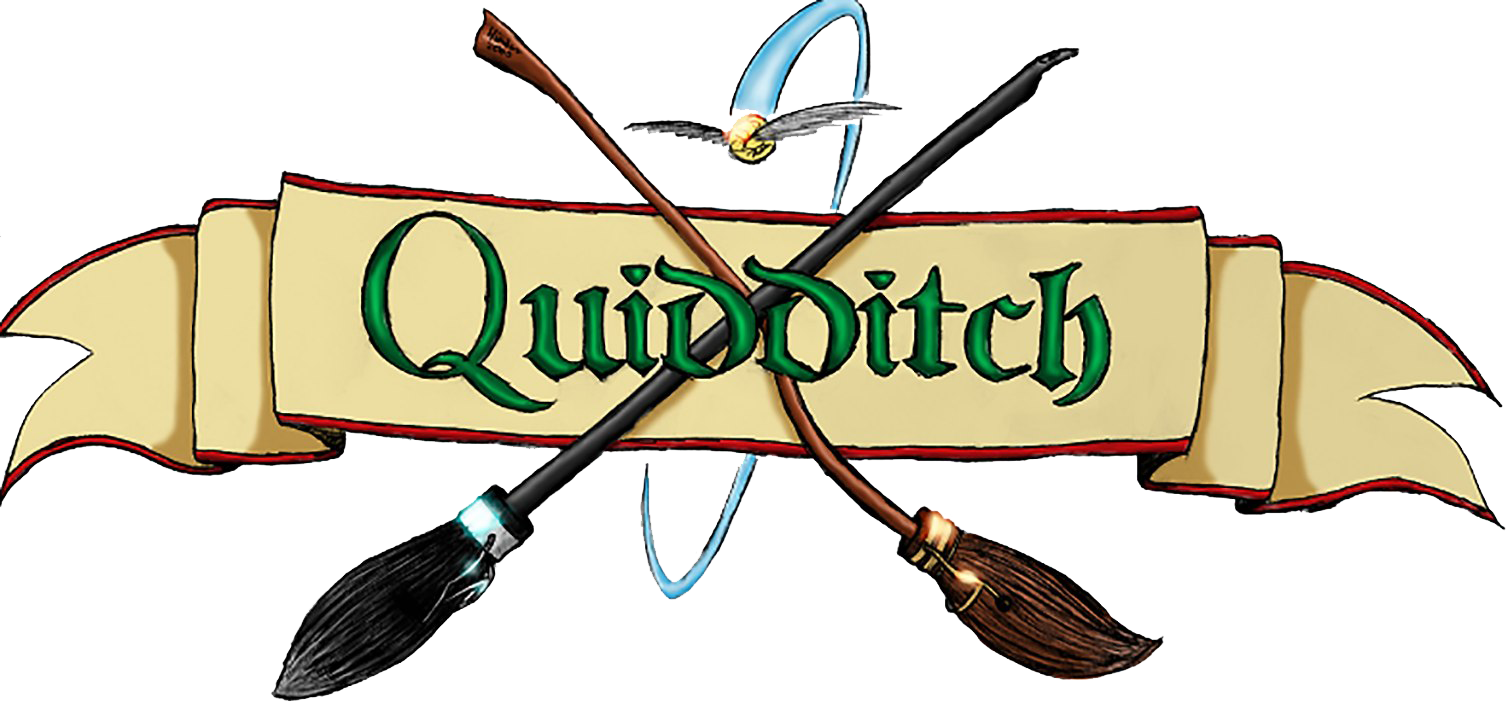 Harry potter quidditch ücretsiz PNG Görüntü | PNG Arts