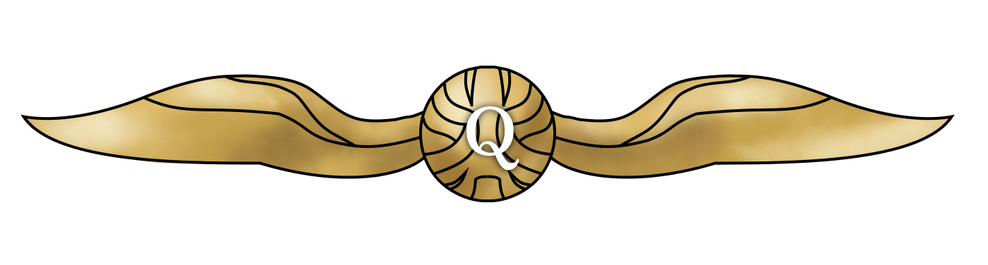Гарри Поттер Quidditch PNG Picture