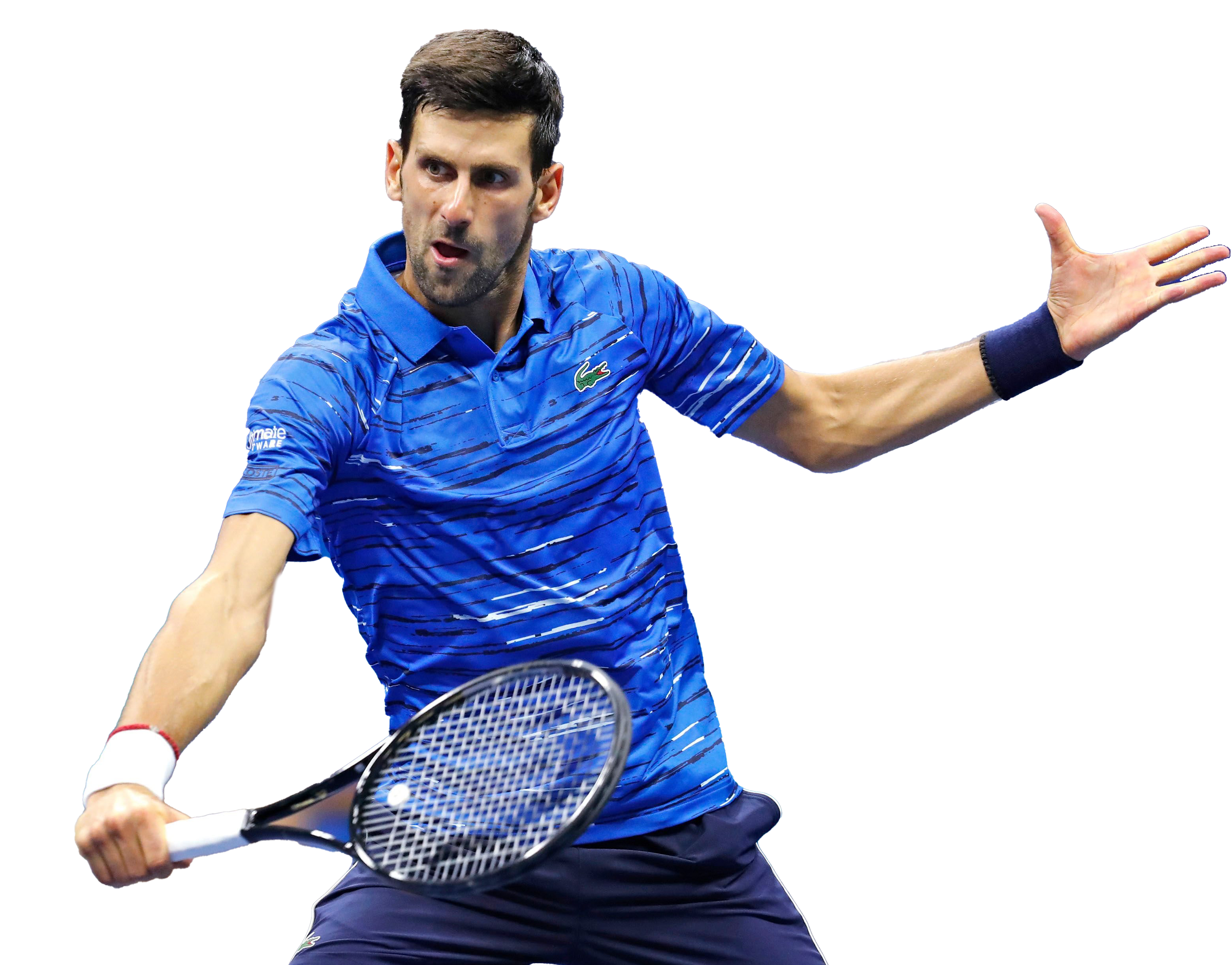 Novak Djokovic Png Descarga Gratuita Png Mart - vrogue.co
