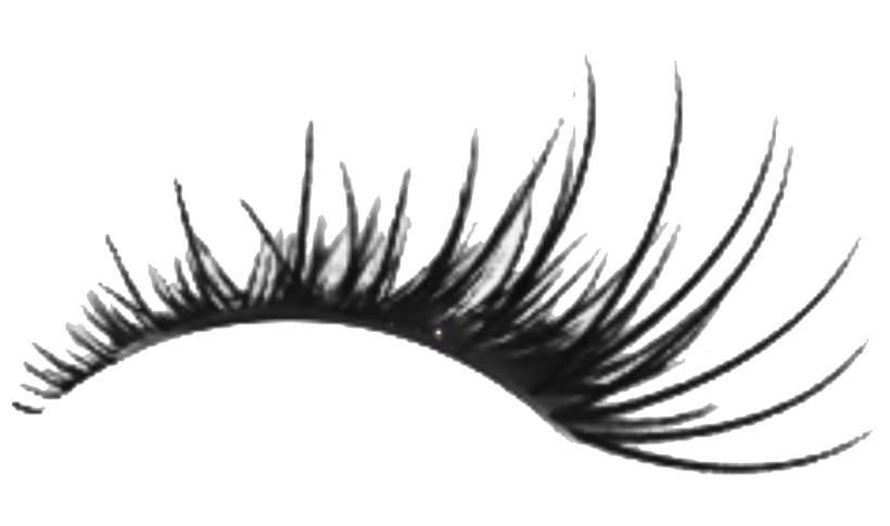 Artificial Lashes PNG Image | PNG Arts