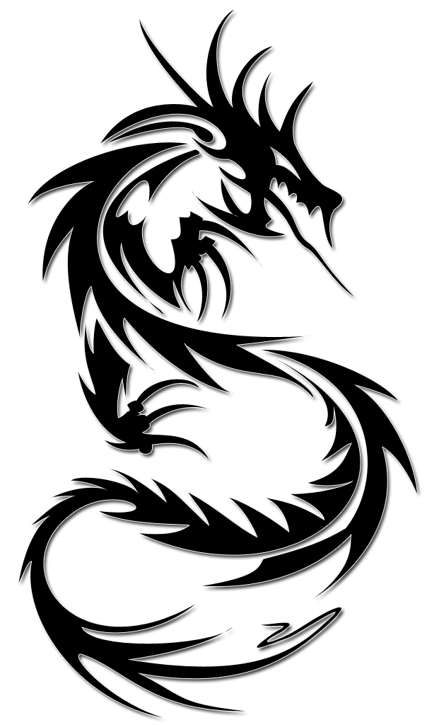 Black Dragon PNG image de fond