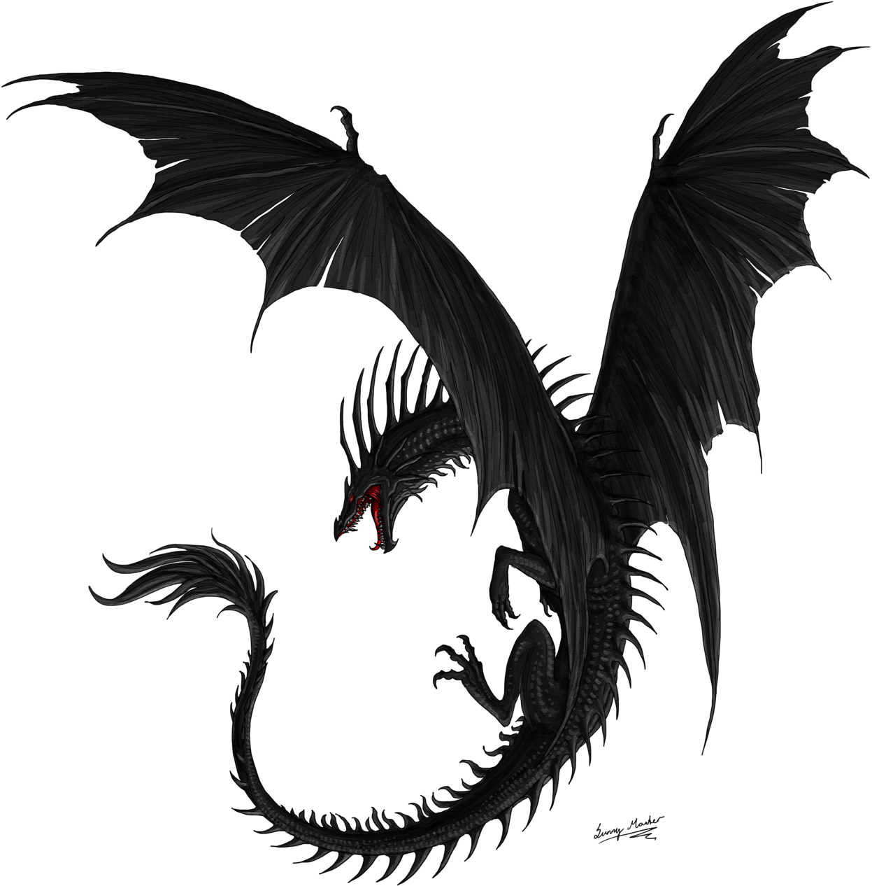Черный дракон PNG изображения фон