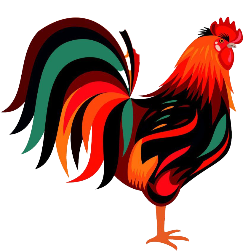 ภาพ PNG ไก่พื้นหลังโปร่งใส