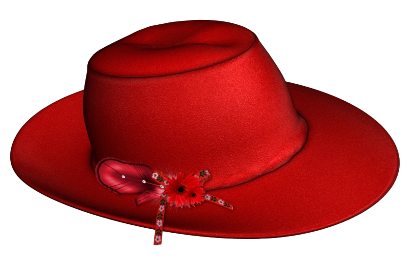 Photo de chapeau de cowboy fantaisie PNG