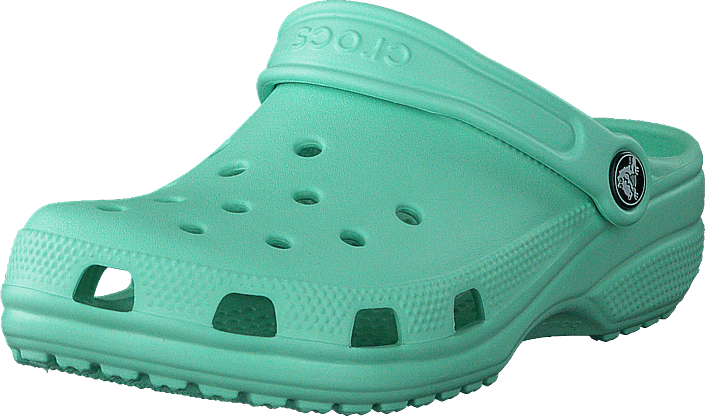Green Crocs Free PNG-Bild