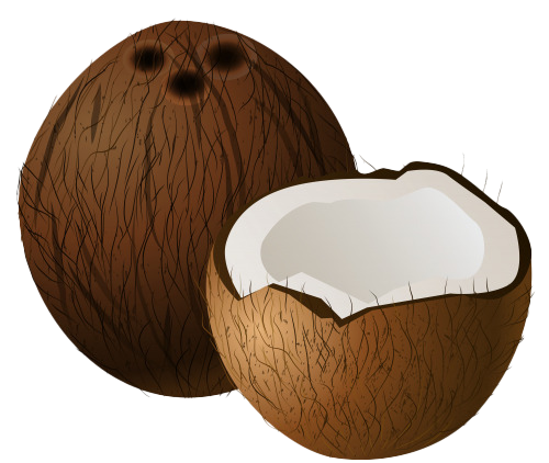Meia imagem de coco PNG