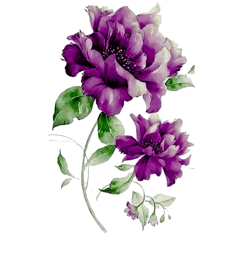 Lilac Flower Png Image Transparent Background Png Arts