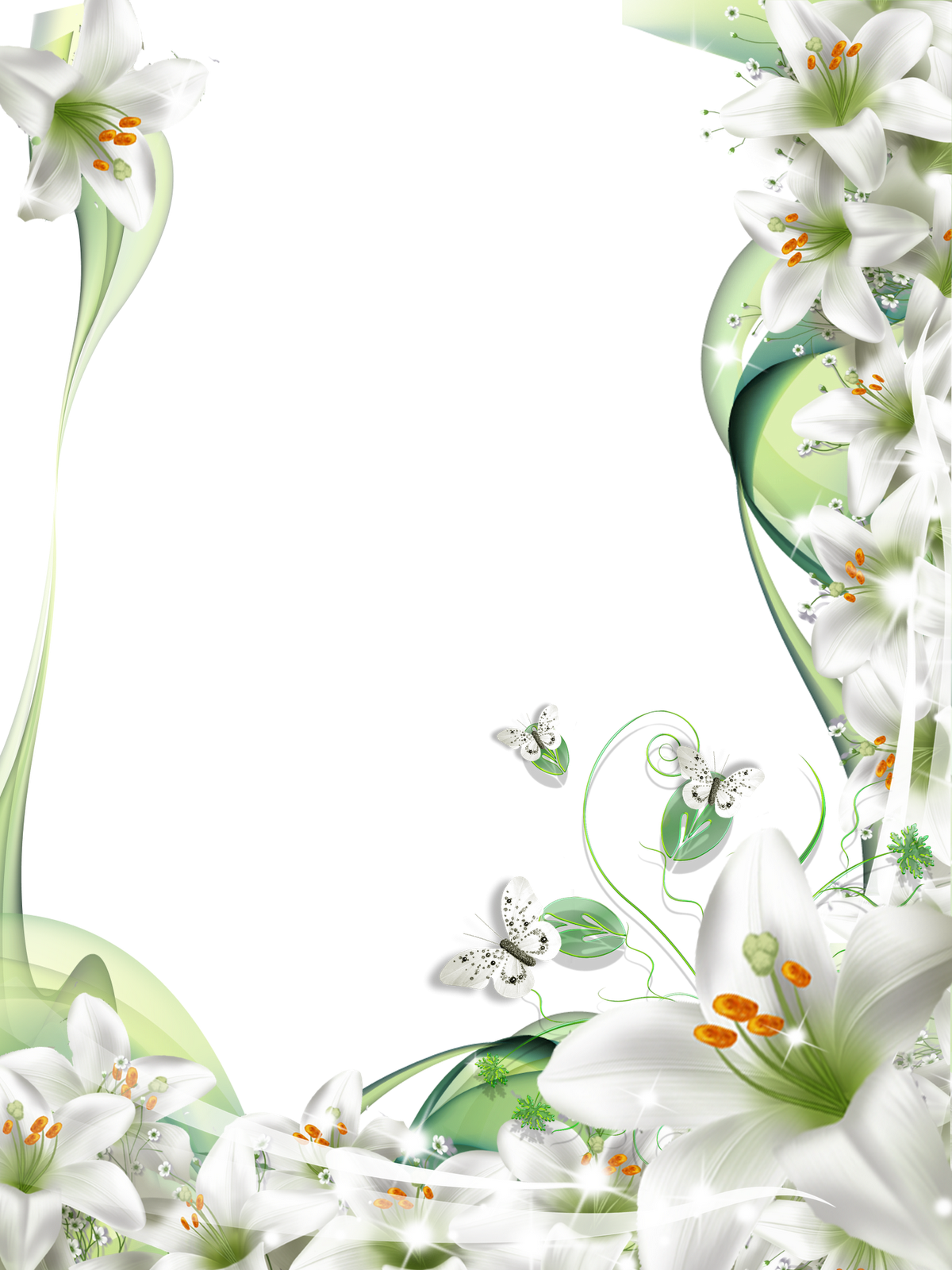 Batas Bunga Lilium PNG Gambar Transparan