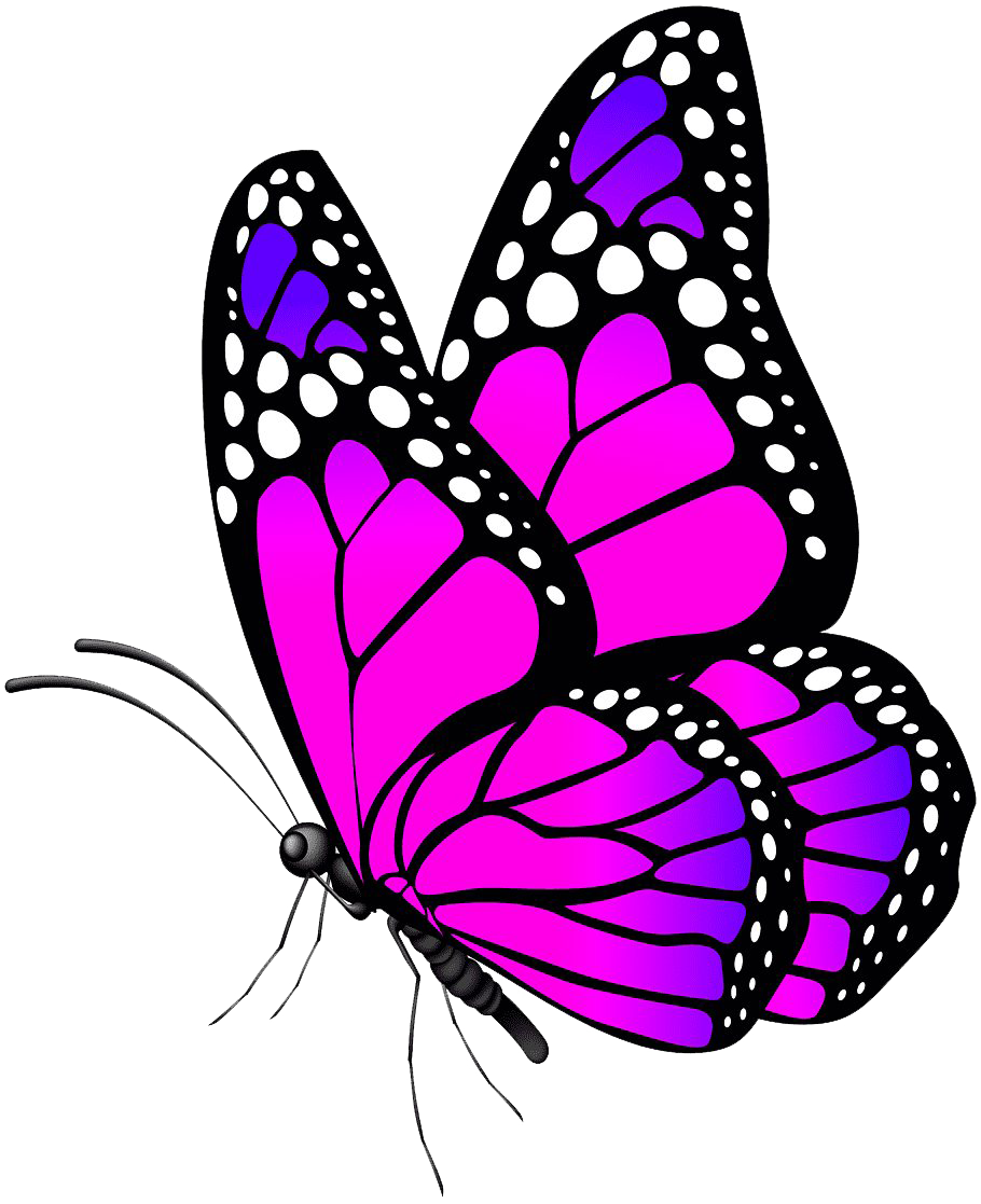 Fondo Transparente de mariposa rosa PNG